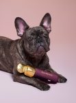 Soft Pooch Blush Dog Toy - Faith
